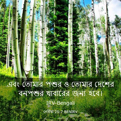 Picture 03 - লেবীয়া 25:7 BENIRV - এবং তোমার পশুর ও - Bible Verse Picture