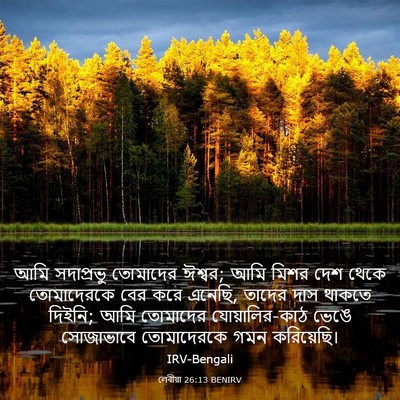 Picture 03 - লেবীয়া 26:13 BENIRV - আমি সদাপ্রভু - Bible Verse Picture