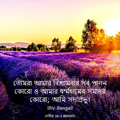 Picture 03 - লেবীয়া 26:2 BENIRV - তোমরা আমার - Bible Verse Picture