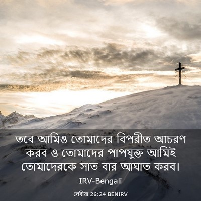Picture 03 - লেবীয়া 26:24 BENIRV - তবে আমিও তোমাদের - Bible Verse Picture