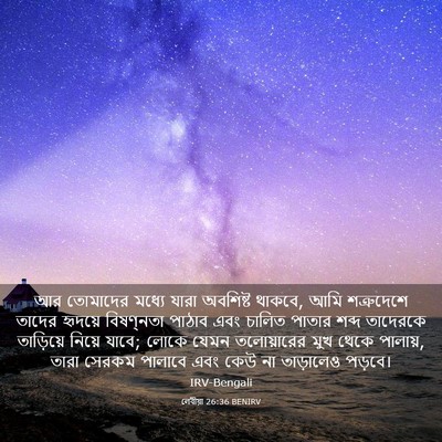 Picture 03 - লেবীয়া 26:36 BENIRV - আর তোমাদের মধ্যে - Bible Verse Picture