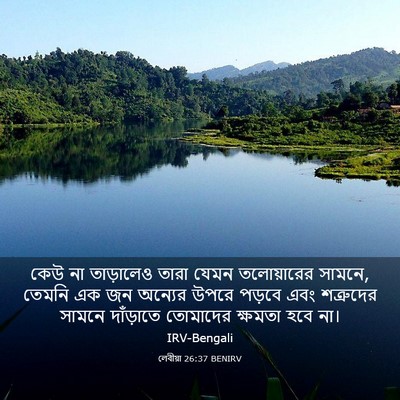 Picture 03 - লেবীয়া 26:37 BENIRV - কেউ না তাড়ালেও - Bible Verse Picture