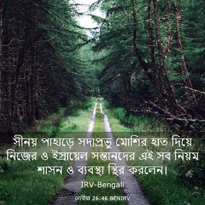 Picture 03 - লেবীয়া 26:46 BENIRV - সীনয় পাহাড়ে - Bible Verse Picture