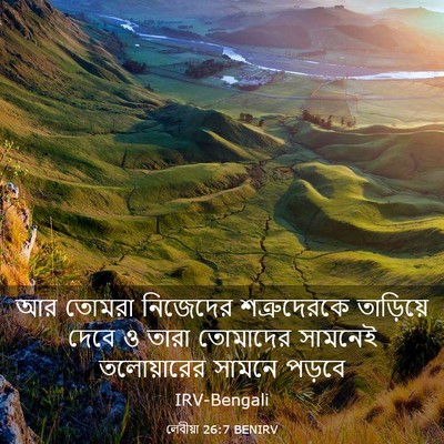 Picture 03 - লেবীয়া 26:7 BENIRV - আর তোমরা নিজেদের - Bible Verse Picture