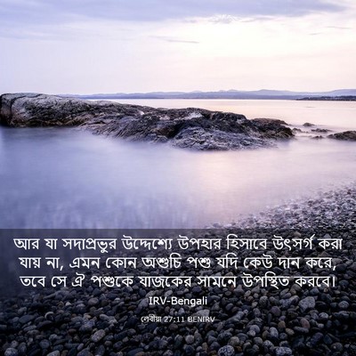 Picture 03 - লেবীয়া 27:11 BENIRV - আর যা সদাপ্রভুর - Bible Verse Picture