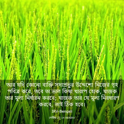 Picture 03 - লেবীয়া 27:14 BENIRV - আর যদি কোনো - Bible Verse Picture