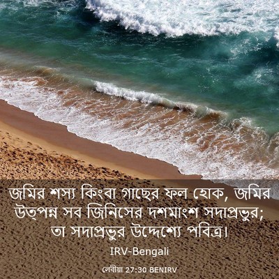 Picture 03 - লেবীয়া 27:30 BENIRV - জমির শস্য কিংবা - Bible Verse Picture