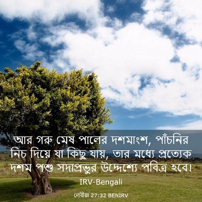 Picture 03 - লেবীয়া 27:32 BENIRV - আর গরু মেষ পালের - Bible Verse Picture