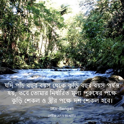 Picture 03 - লেবীয়া 27:5 BENIRV - যদি পাঁচ বছর বয়স - Bible Verse Picture