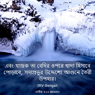 Picture 03 - লেবীয়া 3:11 BENIRV - এবং যাজক তা বেদির - Bible Verse Picture