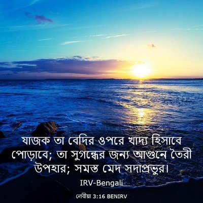 Picture 03 - লেবীয়া 3:16 BENIRV - যাজক তা বেদির ওপরে - Bible Verse Picture