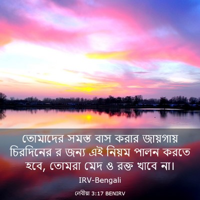 Picture 03 - লেবীয়া 3:17 BENIRV - তোমাদের সমস্ত বাস - Bible Verse Picture