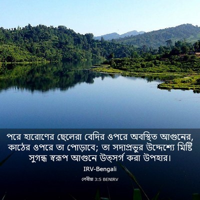 Picture 03 - লেবীয়া 3:5 BENIRV - পরে হারোণের - Bible Verse Picture