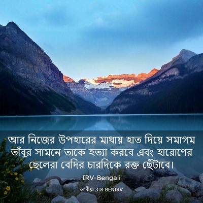 Picture 03 - লেবীয়া 3:8 BENIRV - আর নিজের উপহারের - Bible Verse Picture