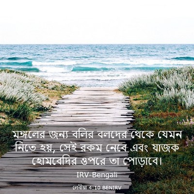 Picture 03 - লেবীয়া 4:10 BENIRV - মঙ্গলের জন্য বলির - Bible Verse Picture