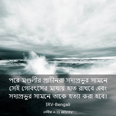 Picture 03 - লেবীয়া 4:15 BENIRV - পরে মণ্ডলীর - Bible Verse Picture