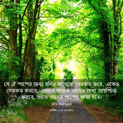 Picture 03 - লেবীয়া 4:20 BENIRV - সে ঐ পাপের জন্য - Bible Verse Picture