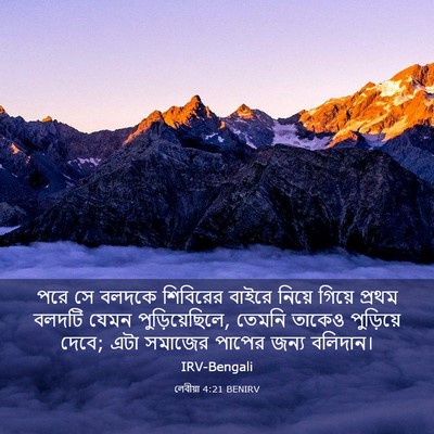 Picture 03 - লেবীয়া 4:21 BENIRV - পরে সে বলদকে - Bible Verse Picture