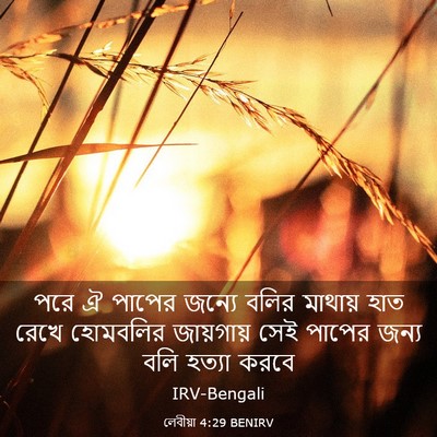 Picture 03 - লেবীয়া 4:29 BENIRV - পরে ঐ পাপের জন্যে - Bible Verse Picture