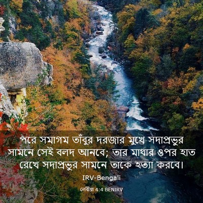 Picture 03 - লেবীয়া 4:4 BENIRV - পরে সমাগম তাঁবুর - Bible Verse Picture