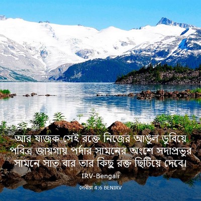 Picture 03 - লেবীয়া 4:6 BENIRV - আর যাজক সেই রক্তে - Bible Verse Picture