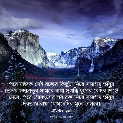 Picture 03 - লেবীয়া 4:7 BENIRV - পরে যাজক সেই - Bible Verse Picture