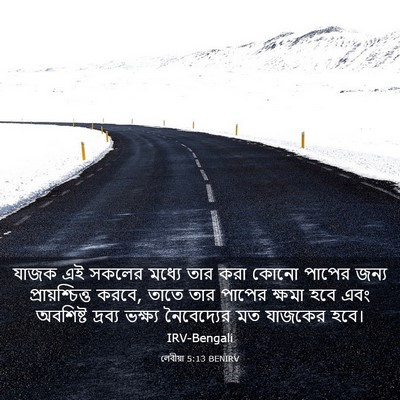Picture 03 - লেবীয়া 5:13 BENIRV - যাজক এই সকলের - Bible Verse Picture