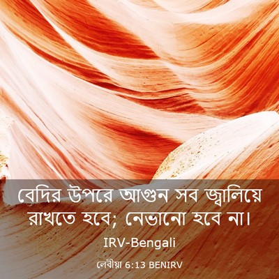 Picture 03 - লেবীয়া 6:13 BENIRV - বেদির উপরে আগুন সব - Bible Verse Picture