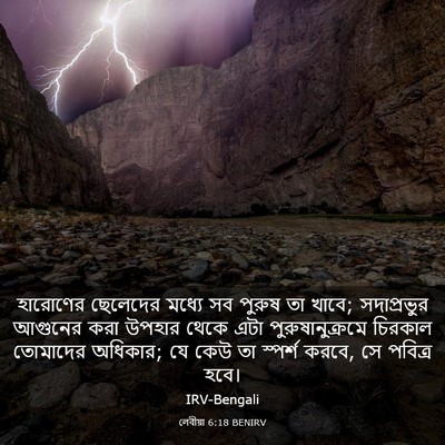 Picture 03 - লেবীয়া 6:18 BENIRV - হারোণের ছেলেদের - Bible Verse Picture