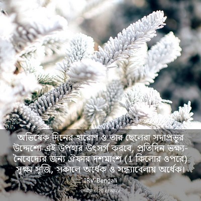 Picture 03 - লেবীয়া 6:20 BENIRV - অভিষেক দিনের - Bible Verse Picture