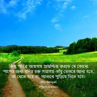 Picture 03 - লেবীয়া 6:30 BENIRV - কিন্তু পবিত্র - Bible Verse Picture