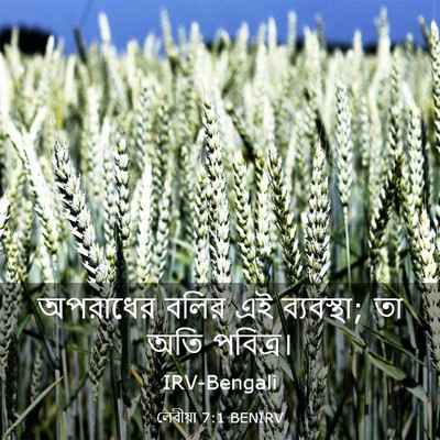 Picture 03 - লেবীয়া 7:1 BENIRV - অপরাধের বলির এই - Bible Verse Picture
