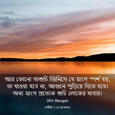 Picture 03 - লেবীয়া 7:19 BENIRV - আর কোনো অশুচি - Bible Verse Picture