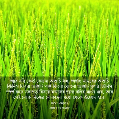 Picture 03 - লেবীয়া 7:21 BENIRV - আর যদি কেউ কোনো - Bible Verse Picture