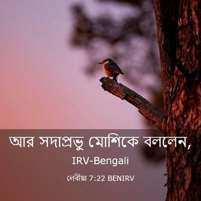 Picture 03 - লেবীয়া 7:22 BENIRV - আর সদাপ্রভু - Bible Verse Picture