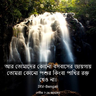 Picture 03 - লেবীয়া 7:26 BENIRV - আর তোমাদের কোনো - Bible Verse Picture