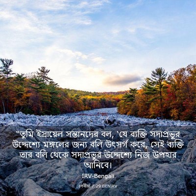 Picture 03 - লেবীয়া 7:29 BENIRV - “তুমি ইস্রায়েল - Bible Verse Picture