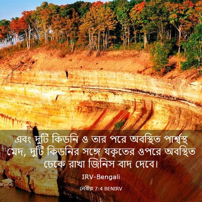 Picture 03 - লেবীয়া 7:4 BENIRV - এবং দুটি কিডনি ও - Bible Verse Picture