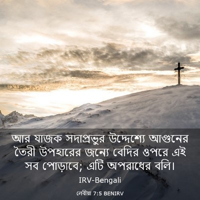 Picture 03 - লেবীয়া 7:5 BENIRV - আর যাজক সদাপ্রভুর - Bible Verse Picture