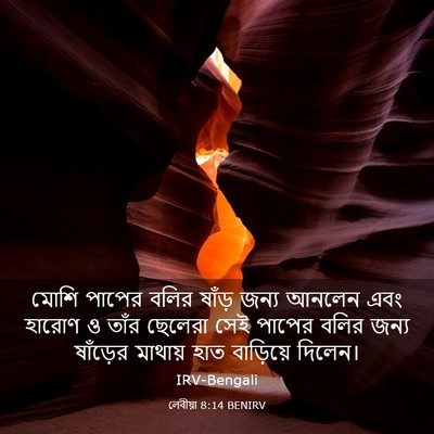 Picture 03 - লেবীয়া 8:14 BENIRV - মোশি পাপের বলির - Bible Verse Picture