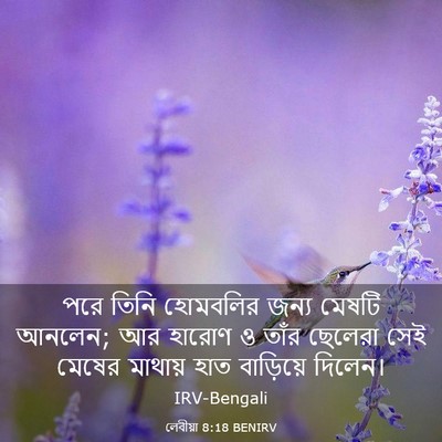 Picture 03 - লেবীয়া 8:18 BENIRV - পরে তিনি হোমবলির - Bible Verse Picture