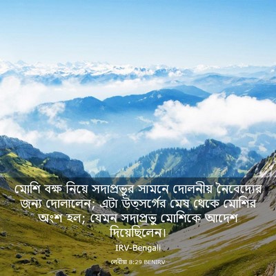 Picture 03 - লেবীয়া 8:29 BENIRV - মোশি বক্ষ নিয়ে - Bible Verse Picture