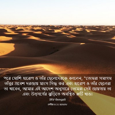Picture 03 - লেবীয়া 8:31 BENIRV - পরে মোশি হারোণ ও - Bible Verse Picture