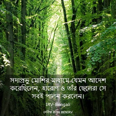 Picture 03 - লেবীয়া 8:36 BENIRV - সদাপ্রভু মোশির - Bible Verse Picture