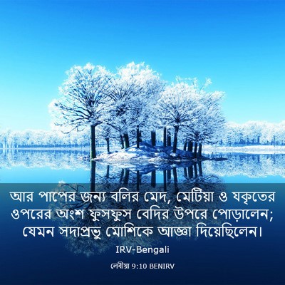 Picture 03 - লেবীয়া 9:10 BENIRV - আর পাপের জন্য বলির - Bible Verse Picture