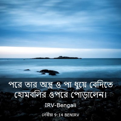 Picture 03 - লেবীয়া 9:14 BENIRV - পরে তার অন্ত্র ও পা - Bible Verse Picture