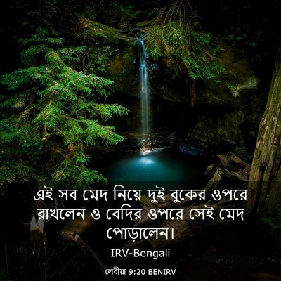 Picture 03 - লেবীয়া 9:20 BENIRV - এই সব মেদ নিয়ে দুই - Bible Verse Picture