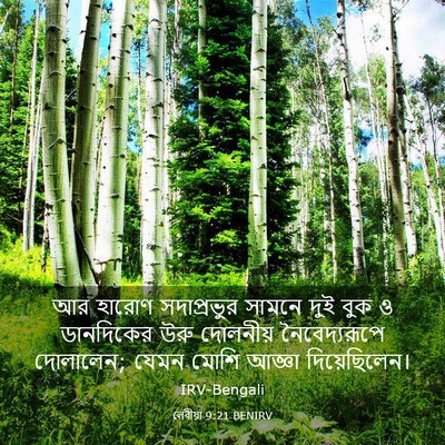 Picture 03 - লেবীয়া 9:21 BENIRV - আর হারোণ - Bible Verse Picture