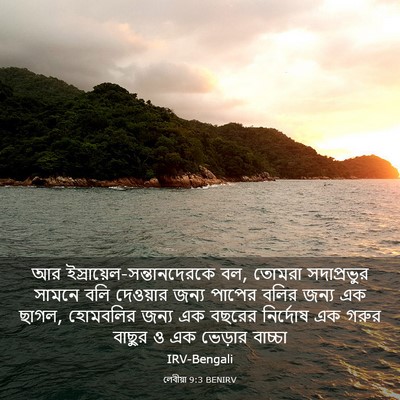 Picture 03 - লেবীয়া 9:3 BENIRV - আর - Bible Verse Picture