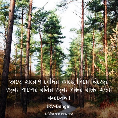 Picture 03 - লেবীয়া 9:8 BENIRV - তাতে হারোণ বেদির - Bible Verse Picture